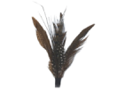 Feathers