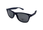 Wayfarer Sunglasses
