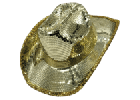 Fancy Cowboy Hats