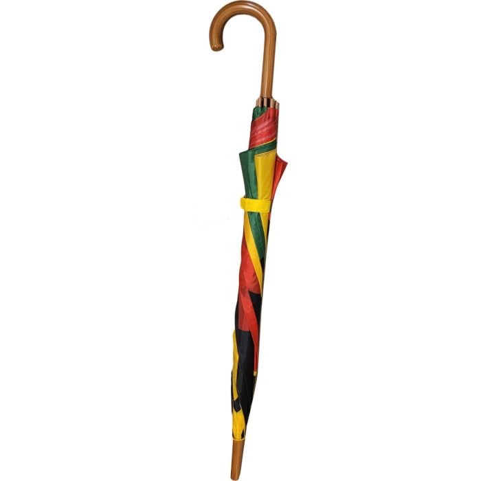 Lion Pattern Long Umbrella (24pcs)