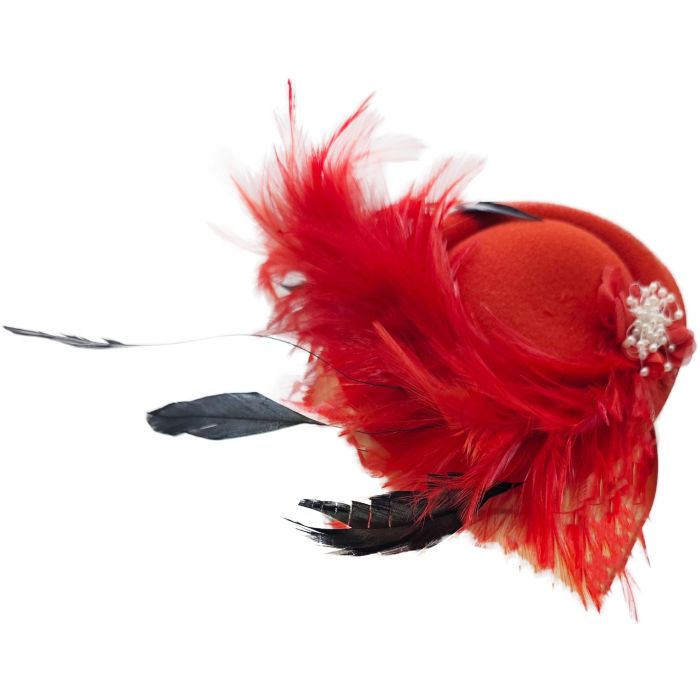 Women’s Elegant & Luxurious Feather Fascinator (6Pcs)