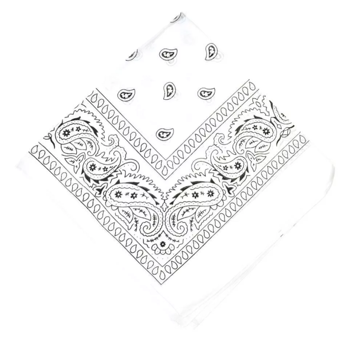 Cotton Paisley Pattern Bandana (12Pcs)