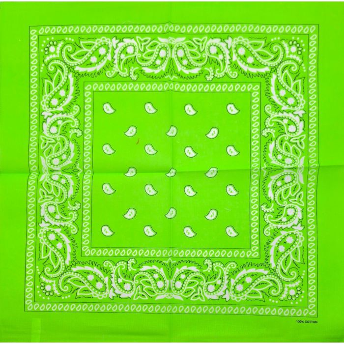 Cotton Paisley Pattern Bandana (12Pcs)