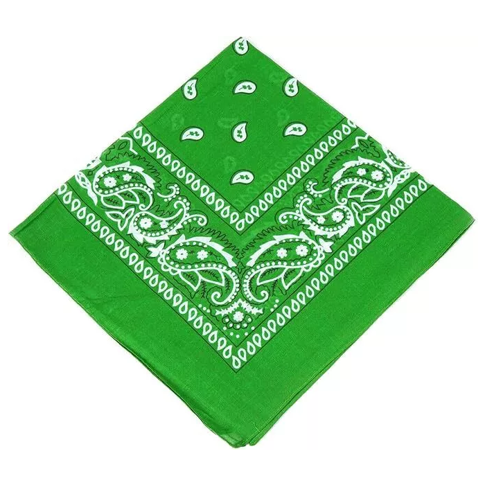 Cotton Paisley Pattern Bandana (12Pcs)