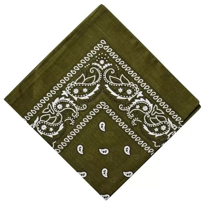 Cotton Paisley Pattern Bandana (12Pcs)