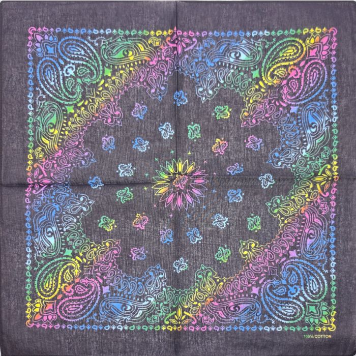 Neon Paisley Bandana (12Pcs)