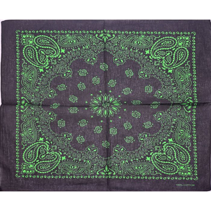 Neon Paisley Bandana (12Pcs)