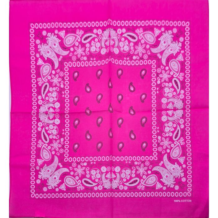 Vibrant Paisley Bandana