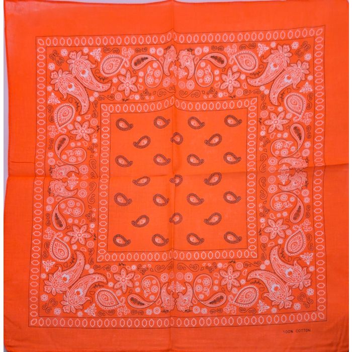 Vibrant Paisley Bandana