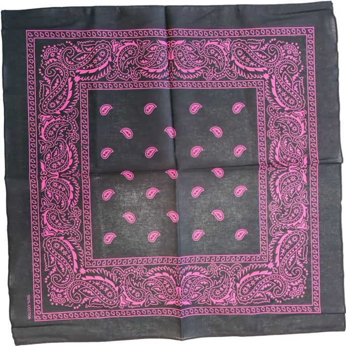 Paisley Bandana (12pcs)