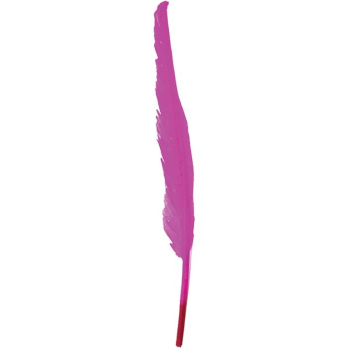 Real Feather Accessory 30CM (12pcs)