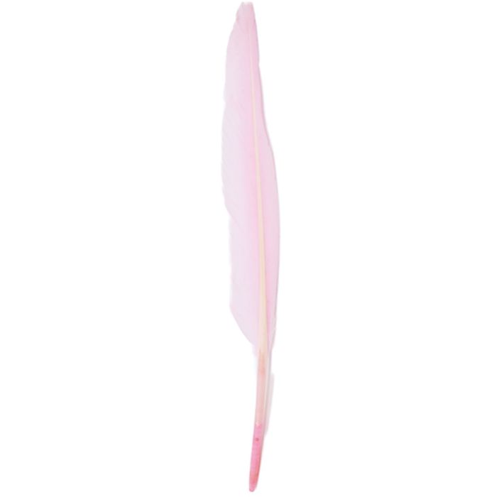 Real Feather Accessory 30CM (12pcs)