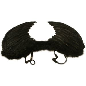 Angel / Devil Wings