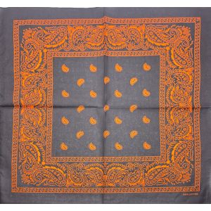 Paisley Bandana (12pcs)
