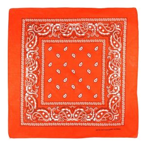Cotton Paisley Pattern Bandana (12Pcs)