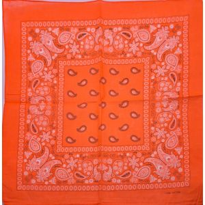 Vibrant Paisley Bandana