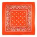 Cotton Paisley Pattern Bandana (12Pcs)