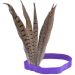 Feathered Carnival Headdress