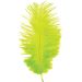 Real Feather Accessory 20CM (12pcs)