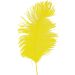 Real Feather Accessory 40CM (12pcs)