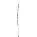 Real Feather Accessory 85CM (12pcs)