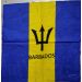 Caribbean Bandanas & Handkerchiefs (12Pcs)