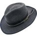 Fancy Fedora Cowboy Hat