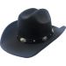 Fancy Party Cowboy Hat