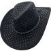 Fancy Party Cowboy Hat