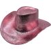 Fancy Party Cowboy Hat
