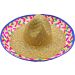 Multicoloured Fancy Sombrero Hat