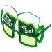 Beer Drink Party Sunglasses
