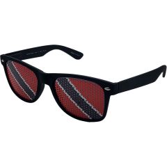Rubber Matte Wayfarer Sunglasses (12pcs)