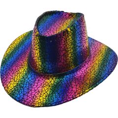 Rainbow Fancy Party Cowboy Hat