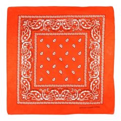 Cotton Paisley Pattern Bandana (12Pcs)