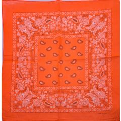 Vibrant Paisley Bandana