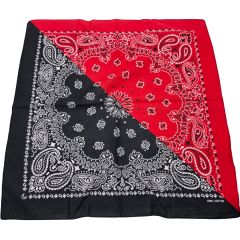 Two-Tone Diagonal Paisley Bandana (12Pcs)
