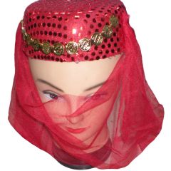 Arabic Dancing Fancy Dress Face Veil Hat