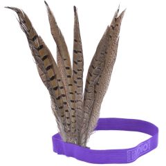Feathered Carnival Headdress