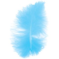 Real Feather Accessory 18CM (12pcs)