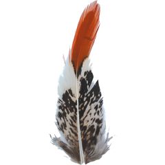 Rustic Patterned Real Feather 10CM (12pcs)