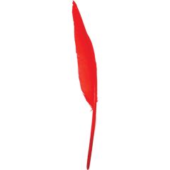 Real Feather Accessory 30CM (12pcs)