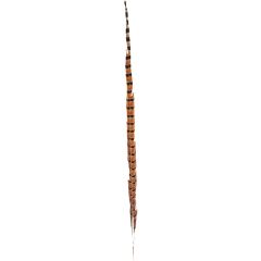 Real Feather Accessory 56CM (12pcs)